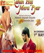kahin hai mera pyaar 2014 song download
